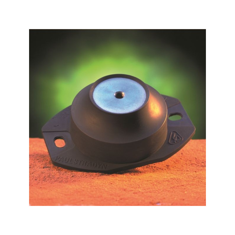 Support élastique Paulstradyn