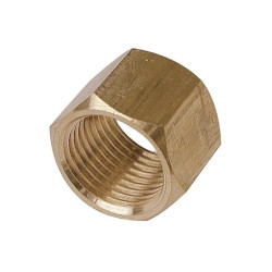 Mamelon double femelle BSPP cylindrique laiton