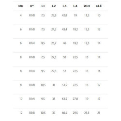 Té mâle autobloquant latéral conique