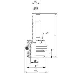Douille de jonction pour raccord autobloquant