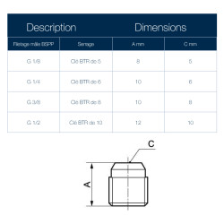 Bouchon mâle cylindrique 6 pans creux - A20