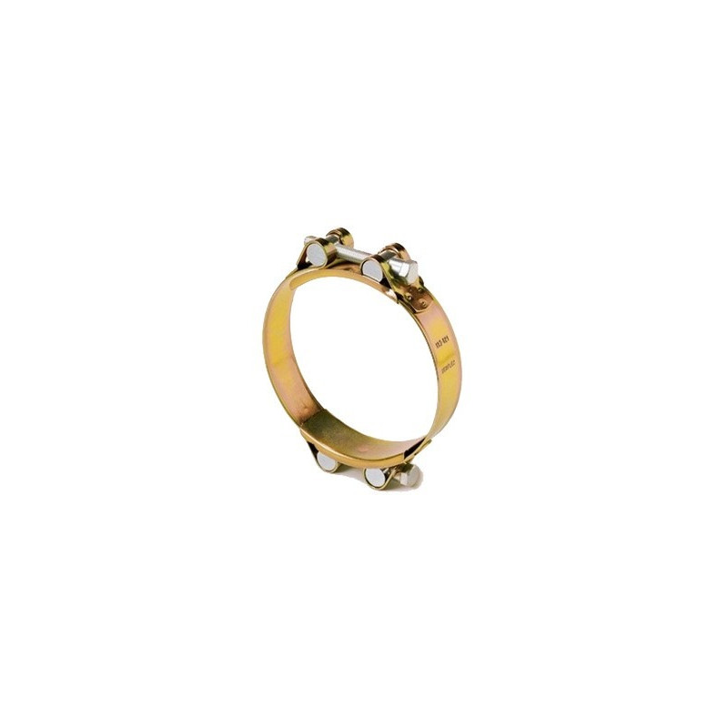 Serflex Collier à tourillon acier bichromaté