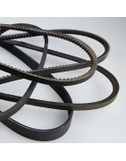 Courroie trapézoïdale