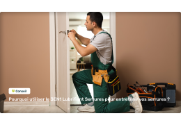 Pourquoi utiliser le 3EN1 Lubrifiant Serrures 100ML pour entretenir vos serrures ?